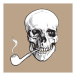 Ilustrace Hand drawn human skull smoking lacquered, sabelskaya, 40 × 40 cm