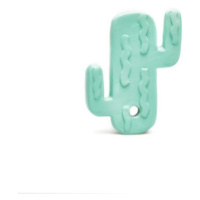 Kousátko kaktus