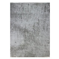 Berfin Dywany Kusový koberec Dizayn 2329 Grey