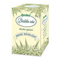 Herbex Přeslička Rolní čaj Sypaný 50g