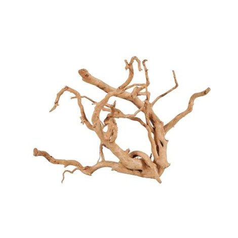 Zolux Spider root přírodní naplavené dřevo 30-40 cm