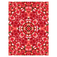 Ilustrace Kaleidoscopic pattern of red roses, Busà Photography, 30 × 40 cm