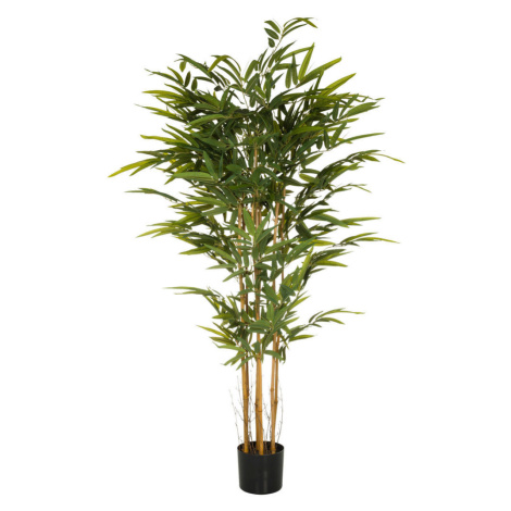 MID.YOU UMĚLÁ ROSTLINA bambus