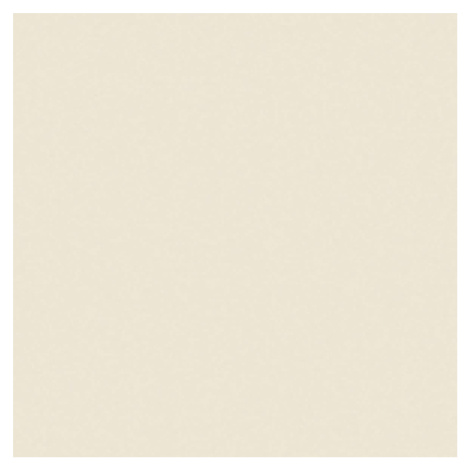 Dlažba Rako Taurus Color bílá 20x20 cm mat TAA25011.1