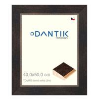 DANTIK rámeček 40 × 50, TOMAS černý velký sklo čiré