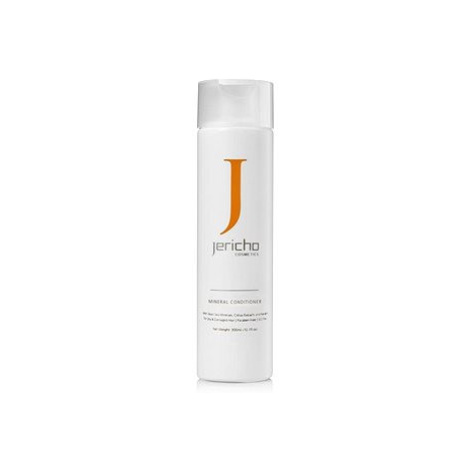 JERICHO Mineral hair conditioner 300 ml