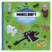 Minecraft kreslení (3D pixely) - Kolektiv - kniha z kategorie Pro děti