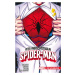 Peter Parker Spectacular Spider-Man 1: Do soumraku