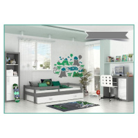 Expedo Dětská postel HARRY P1 COLOR s barevnou zásuvkou + matrace, 80x160, šedý/bílý