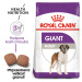 Royal Canin Dog Giant Adult - 15kg