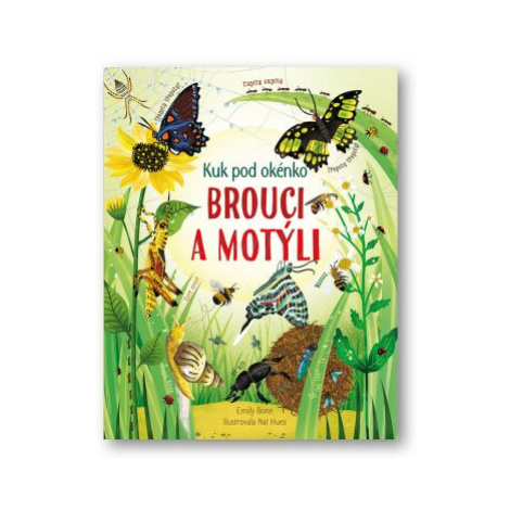 Kuk pod okénko - Brouci a motýli  Emily Bone, Nat Hues - Emily Bone Svojtka&Co.