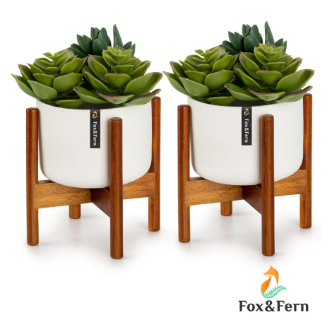 Fox & Fern Thorn, květináč se stojanem, dvoudílná sada, styl 50. let 20. století