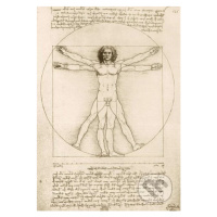 Leonardo Da Vinci - The Vitruvian Man, 1490 - puzzle z kategorie Umělecké