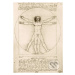 Leonardo Da Vinci - The Vitruvian Man, 1490 - puzzle z kategorie Umělecké