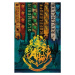 Plakát, Obraz - Harry Potter - Bradavické koleje, (61 x 91.5 cm)