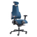 PROWORK zdravotní židle Therapia Body+ Petrol FX13/KX99
