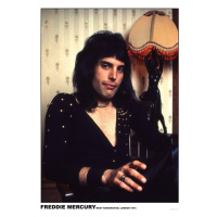 Plakát, Obraz - Freddie Mercury - London 1974, (59.4 x 84 cm)