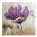 Obraz - Fialový květ a poupě