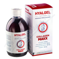 Hyalgel Collagen MAXX 500 ml