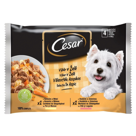 Cesar kapsičky pro dospělé psy výběr v želé 52x100 g