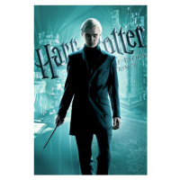 Umělecký tisk Harry Potter - Draco Malfoy, 26.7 × 40 cm