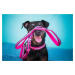 Vsepropejska Cubo obojek pro psa s vodítkem | 32 – 56 cm Barva: Růžová, Obvod krku: 32 - 52 cm, 