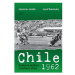 Chile 1962 Světové stříbro s leskem zlata