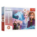 Puzzle Ledové království II/Frozen II 30 dílků 27x20cm v krabici 21x14x4cm