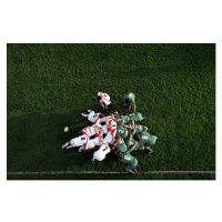 Fotografie Rugby scrummage, overhead view, Photo and Co, 40x26.7 cm