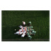 Fotografie Rugby scrummage, overhead view, Photo and Co, (40 x 26.7 cm)