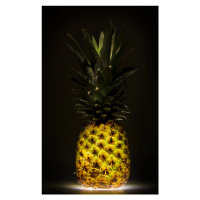 Fotografie Pineapple, Wieteke de Kogel, 24.8 × 40 cm