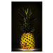 Fotografie Pineapple, Wieteke de Kogel, 24.8 × 40 cm