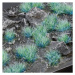 Dekorace GamersGrass - Alien Turquoise