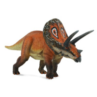 Collecta torosaurus