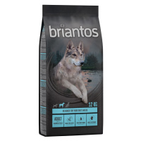 Briantos granule, 12 / 14 kg - 10 % sleva - Adult losos s bramborami - bez obilovin (12 kg)