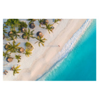 Fotografie Aerial view of umbrellas, palms on, den-belitsky, (40 x 26.7 cm)