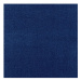 Hanse Home Collection koberce Kusový koberec Nasty 104447 Darkblue 200x200 cm čtverec - 200x200 