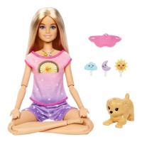 Mattel barbie® meditace od rána do večera, hhx64