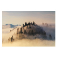 Fotografie Foggy sunrise in the mountains in summer, Anton Petrus, 40 × 26.7 cm