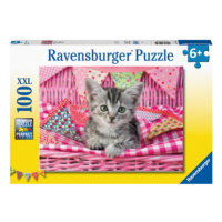 Puzzle dětské Roztomilé koťátko 100 dílků