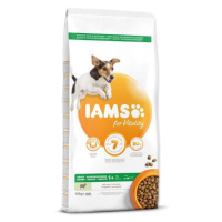 IAMS Dog Adult Small & Medium Lamb 12kg