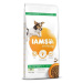 IAMS Dog Adult Small & Medium Lamb 12kg