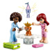 LEGO® Friends 41740 Aliyin pokoj