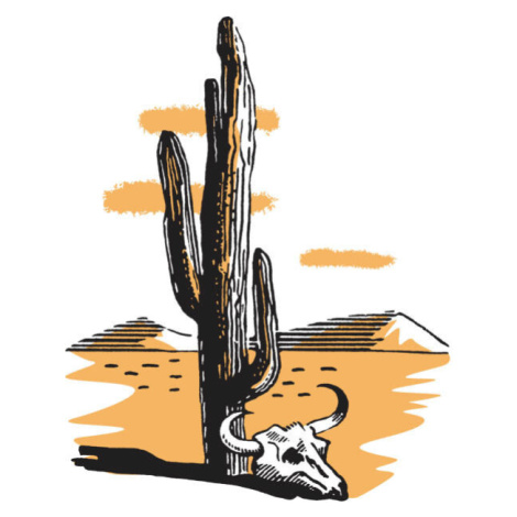 Ilustrace Cactus, CSA Images, 32.8 × 40 cm