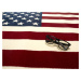 Alfa Carpets  Kusový koberec American flag - 120x170 cm