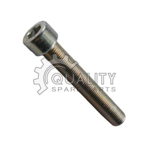 Šroub M10x1x65 ŠKODA OEM Originál N10302601