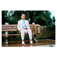 Fotografie FORREST GUMP, (40 x 26.7 cm)