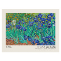 Obrazová reprodukce Irises (Museum Vintage Floral / Flower Landscape) - Vincent van Gogh, (40 x 