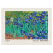 Obrazová reprodukce Irises (Museum Vintage Floral / Flower Landscape) - Vincent van Gogh, 40x30 