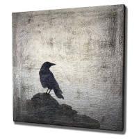 Nástěnný obraz na plátně Black Bird, 45 x 45 cm
